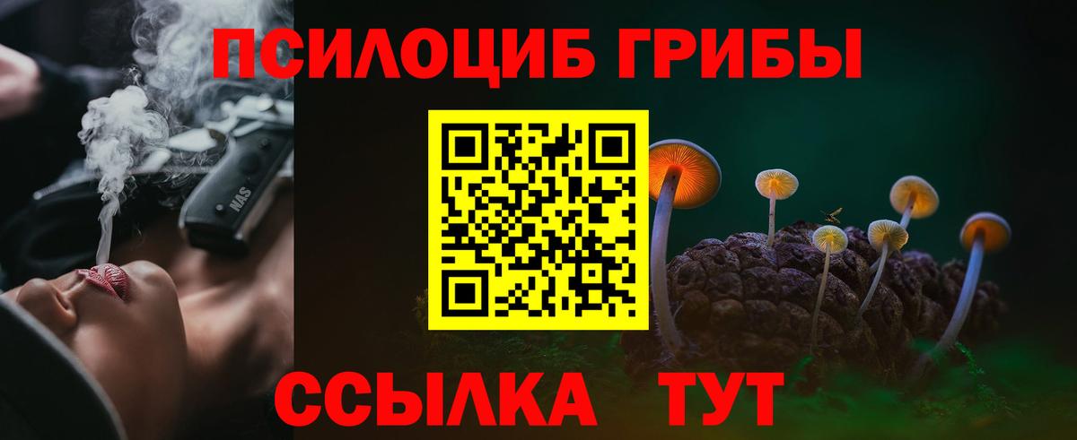 Волжский  Галлюциногенные грибы ЛСД  Вход с VPN  Псилоцибиновые грибы мицелий 
